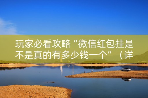 玩家必看攻略“微信红包挂是不是真的有多少钱一个”（详细透视教程）-哔哩哔哩