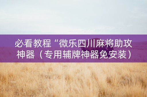 必看教程“微乐四川麻将助攻神器（专用辅牌神器免安装）