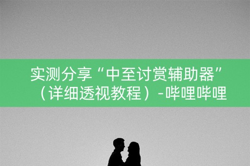 实测分享“中至讨赏辅助器”（详细透视教程）-哔哩哔哩