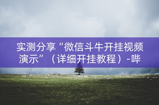 实测分享“微信斗牛开挂视频演示”（详细开挂教程）-哔哩哔哩