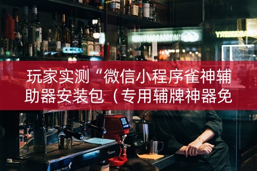玩家实测“微信小程序雀神辅助器安装包（专用辅牌神器免安装）