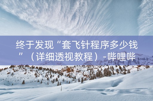 终于发现“套飞针程序多少钱”（详细透视教程）-哔哩哔哩