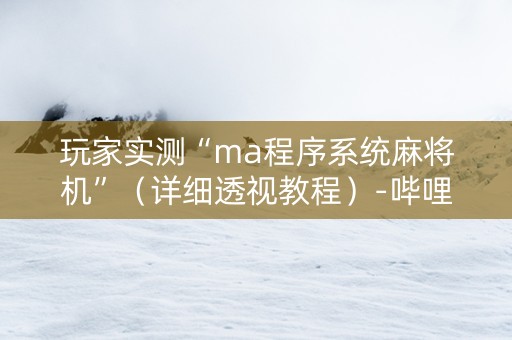 玩家实测“ma程序系统麻将机”（详细透视教程）-哔哩哔哩