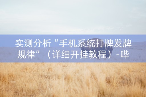 实测分析“手机系统打牌发牌规律”（详细开挂教程）-哔哩哔哩