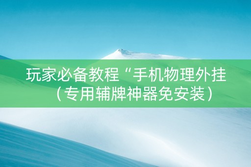 玩家必备教程“手机物理外挂（专用辅牌神器免安装）