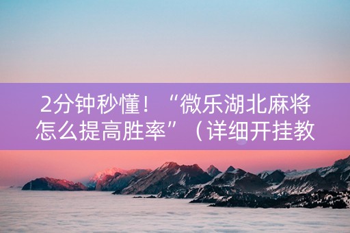 2分钟秒懂！“微乐湖北麻将怎么提高胜率”（详细开挂教程）-哔哩哔哩