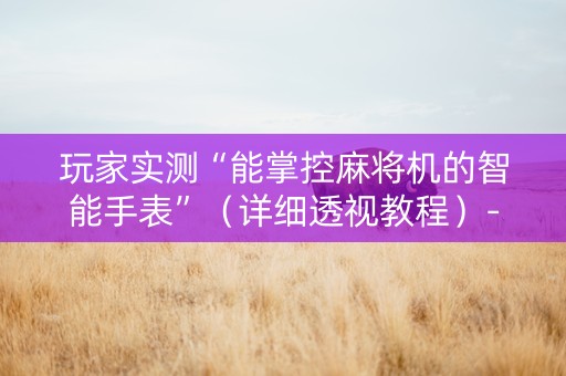 玩家实测“能掌控麻将机的智能手表”（详细透视教程）-哔哩哔哩