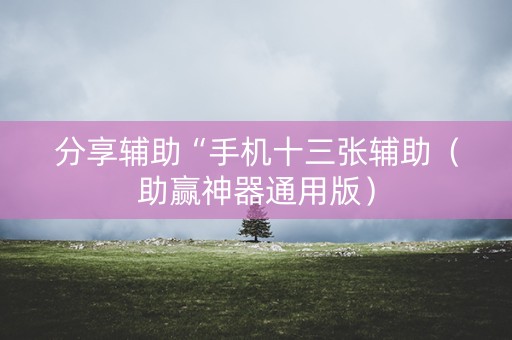 分享辅助“手机十三张辅助（助赢神器通用版）