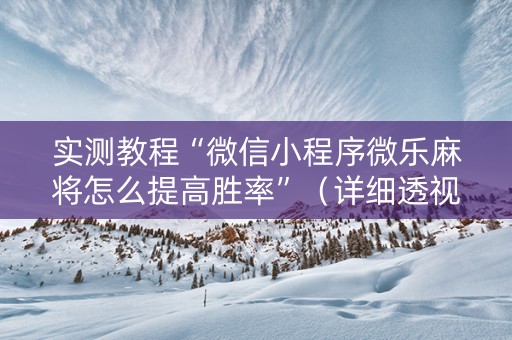实测教程“微信小程序微乐麻将怎么提高胜率”（详细透视教程）-哔哩哔哩