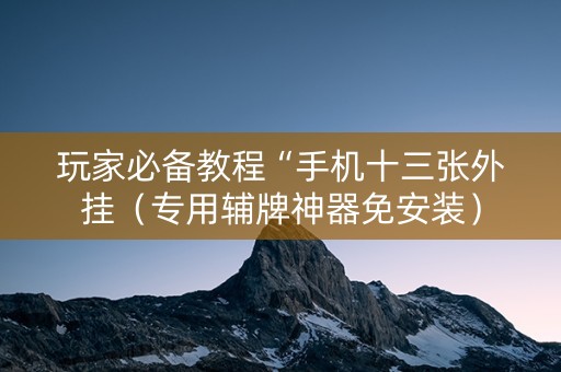 玩家必备教程“手机十三张外挂（专用辅牌神器免安装）
