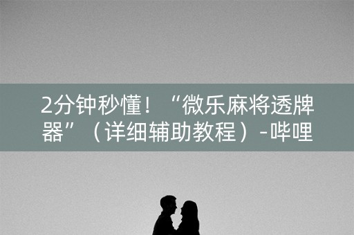 2分钟秒懂！“微乐麻将透牌器”（详细辅助教程）-哔哩哔哩