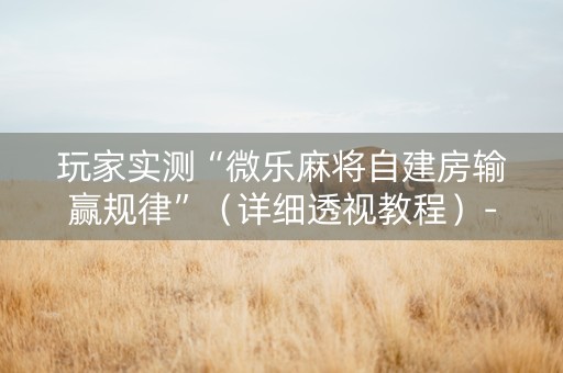 玩家实测“微乐麻将自建房输赢规律”（详细透视教程）-哔哩哔哩