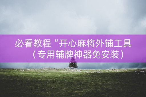 必看教程“开心麻将外铺工具（专用辅牌神器免安装）