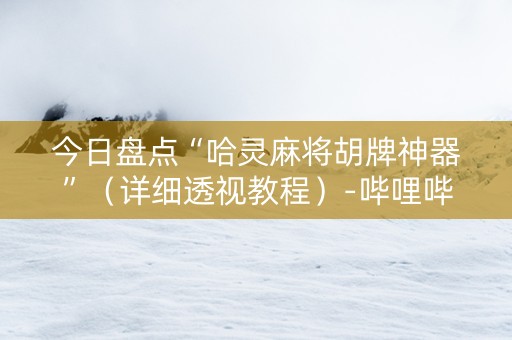 今日盘点“哈灵麻将胡牌神器”（详细透视教程）-哔哩哔哩