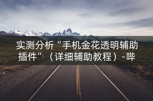 实测分析“手机金花透明辅助插件”（详细辅助教程）-哔哩哔哩