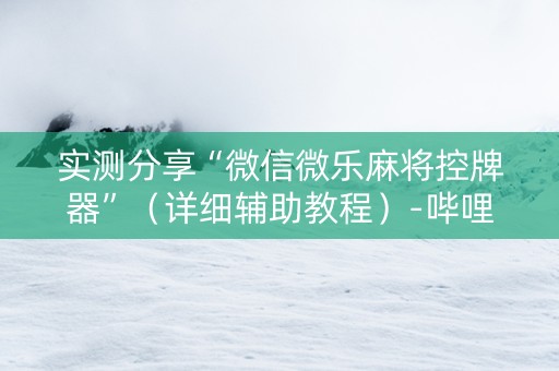 实测分享“微信微乐麻将控牌器”（详细辅助教程）-哔哩哔哩