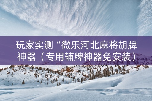 玩家实测“微乐河北麻将胡牌神器（专用辅牌神器免安装）