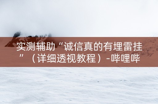 实测辅助“诚信真的有埋雷挂”（详细透视教程）-哔哩哔哩