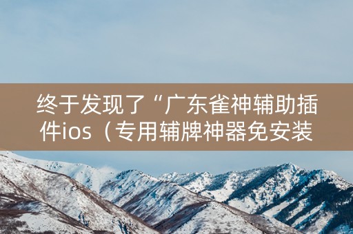 终于发现了“广东雀神辅助插件ios（专用辅牌神器免安装）