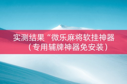 实测结果“微乐麻将软挂神器（专用辅牌神器免安装）