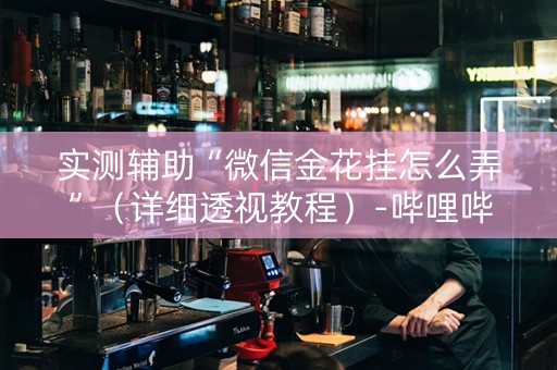 实测辅助“微信金花挂怎么弄”（详细透视教程）-哔哩哔哩