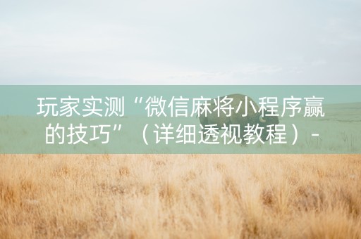 玩家实测“微信麻将小程序赢的技巧”（详细透视教程）-哔哩哔哩