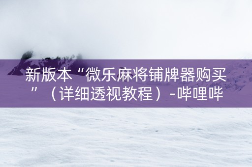 新版本“微乐麻将铺牌器购买”（详细透视教程）-哔哩哔哩