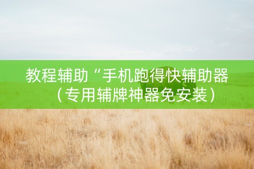 教程辅助“手机跑得快辅助器（专用辅牌神器免安装）