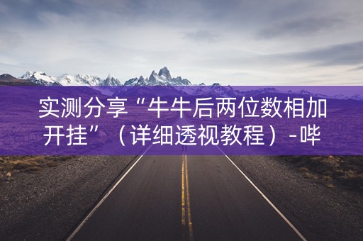 实测分享“牛牛后两位数相加开挂”（详细透视教程）-哔哩哔哩