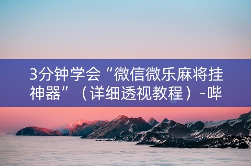 3分钟学会“微信微乐麻将挂神器”（详细透视教程）-哔哩哔哩