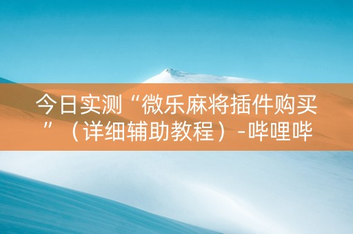 今日实测“微乐麻将插件购买”（详细辅助教程）-哔哩哔哩