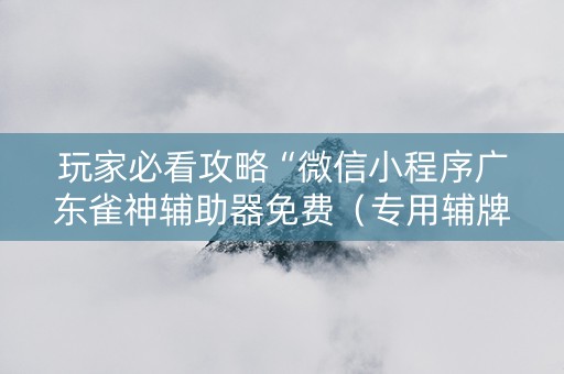 玩家必看攻略“微信小程序广东雀神辅助器免费（专用辅牌神器免安装）