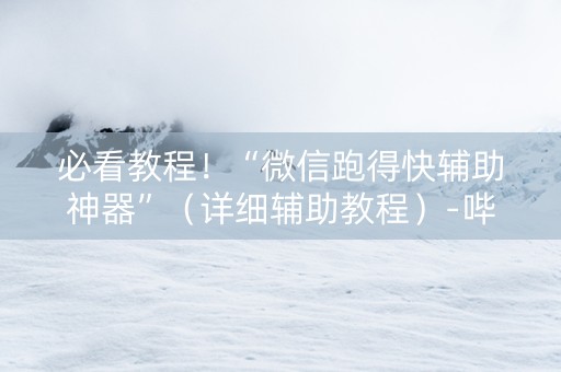 必看教程！“微信跑得快辅助神器”（详细辅助教程）-哔哩哔哩