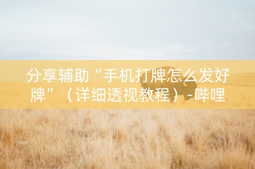 分享辅助“手机打牌怎么发好牌”（详细透视教程）-哔哩哔哩