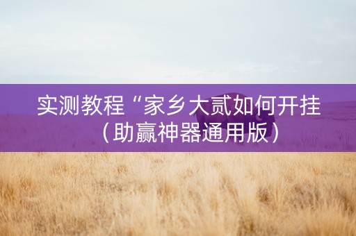 实测教程“家乡大贰如何开挂（助赢神器通用版）