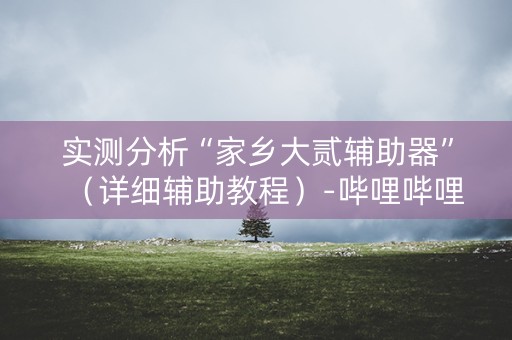 实测分析“家乡大贰辅助器”（详细辅助教程）-哔哩哔哩