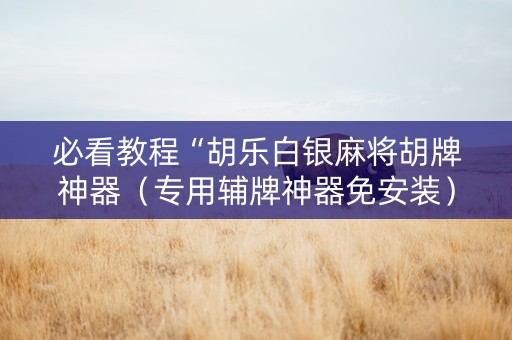 必看教程“胡乐白银麻将胡牌神器（专用辅牌神器免安装）
