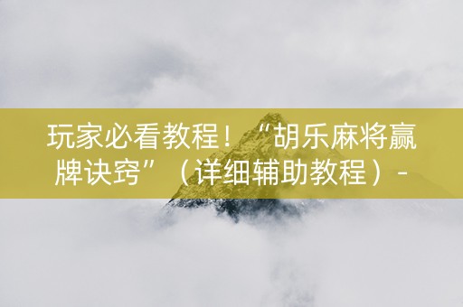 玩家必看教程！“胡乐麻将赢牌诀窍”（详细辅助教程）-哔哩哔哩