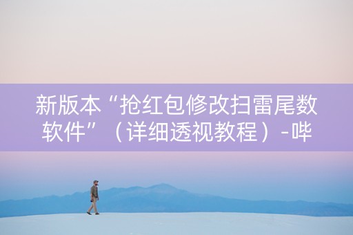新版本“抢红包修改扫雷尾数软件”（详细透视教程）-哔哩哔哩