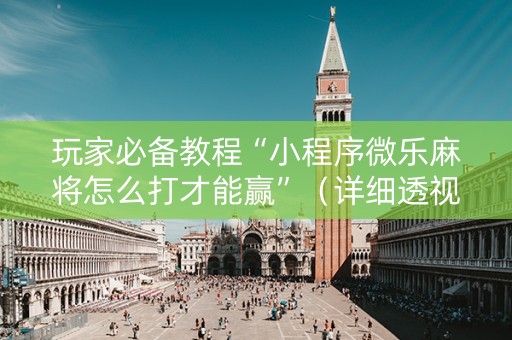 玩家必备教程“小程序微乐麻将怎么打才能赢”（详细透视教程）-哔哩哔哩