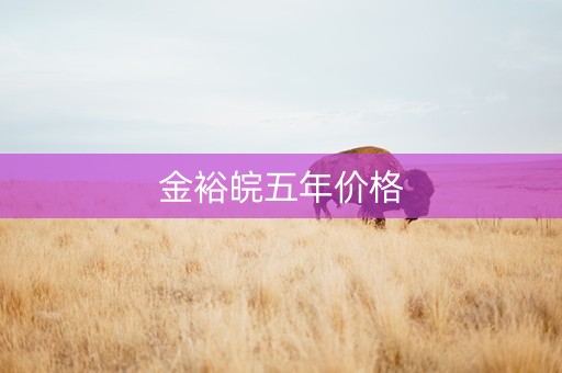 金裕皖五年价格