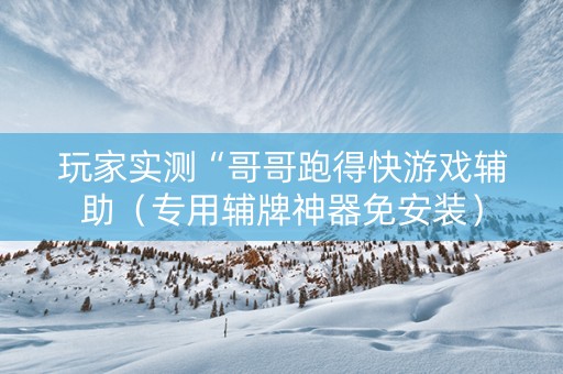 玩家实测“哥哥跑得快游戏辅助（专用辅牌神器免安装）