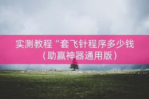 实测教程“套飞针程序多少钱（助赢神器通用版）