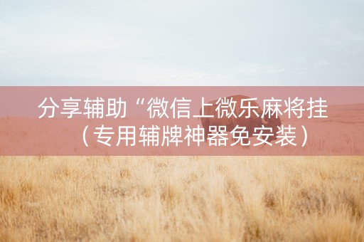 分享辅助“微信上微乐麻将挂（专用辅牌神器免安装）