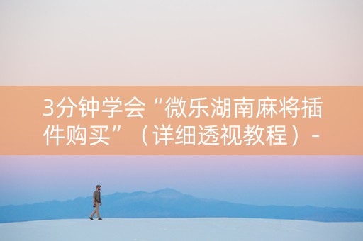 3分钟学会“微乐湖南麻将插件购买”（详细透视教程）-哔哩哔哩