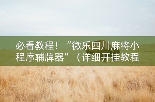 必看教程！“微乐四川麻将小程序辅牌器”（详细开挂教程）-哔哩哔哩