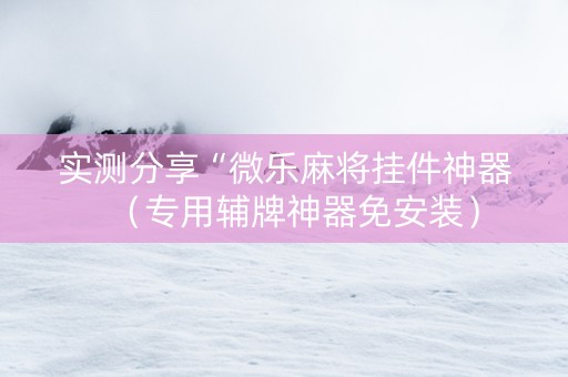 实测分享“微乐麻将挂件神器（专用辅牌神器免安装）