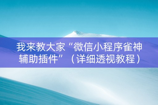 我来教大家“微信小程序雀神辅助插件”（详细透视教程）-哔哩哔哩