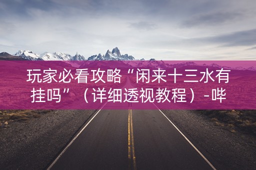玩家必看攻略“闲来十三水有挂吗”（详细透视教程）-哔哩哔哩