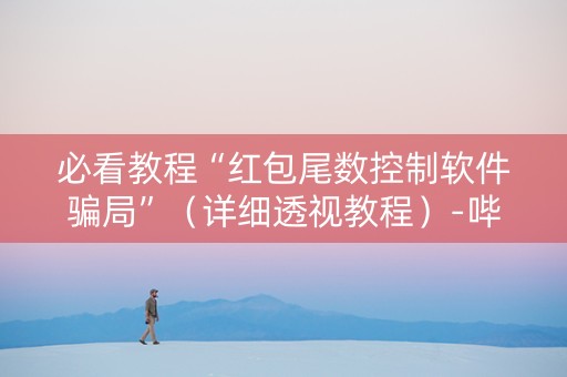 必看教程“红包尾数控制软件骗局”（详细透视教程）-哔哩哔哩